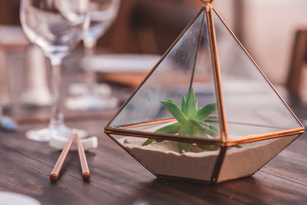 well-kept succulent in glass pyramid