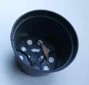 Flower pot for repotted aloe