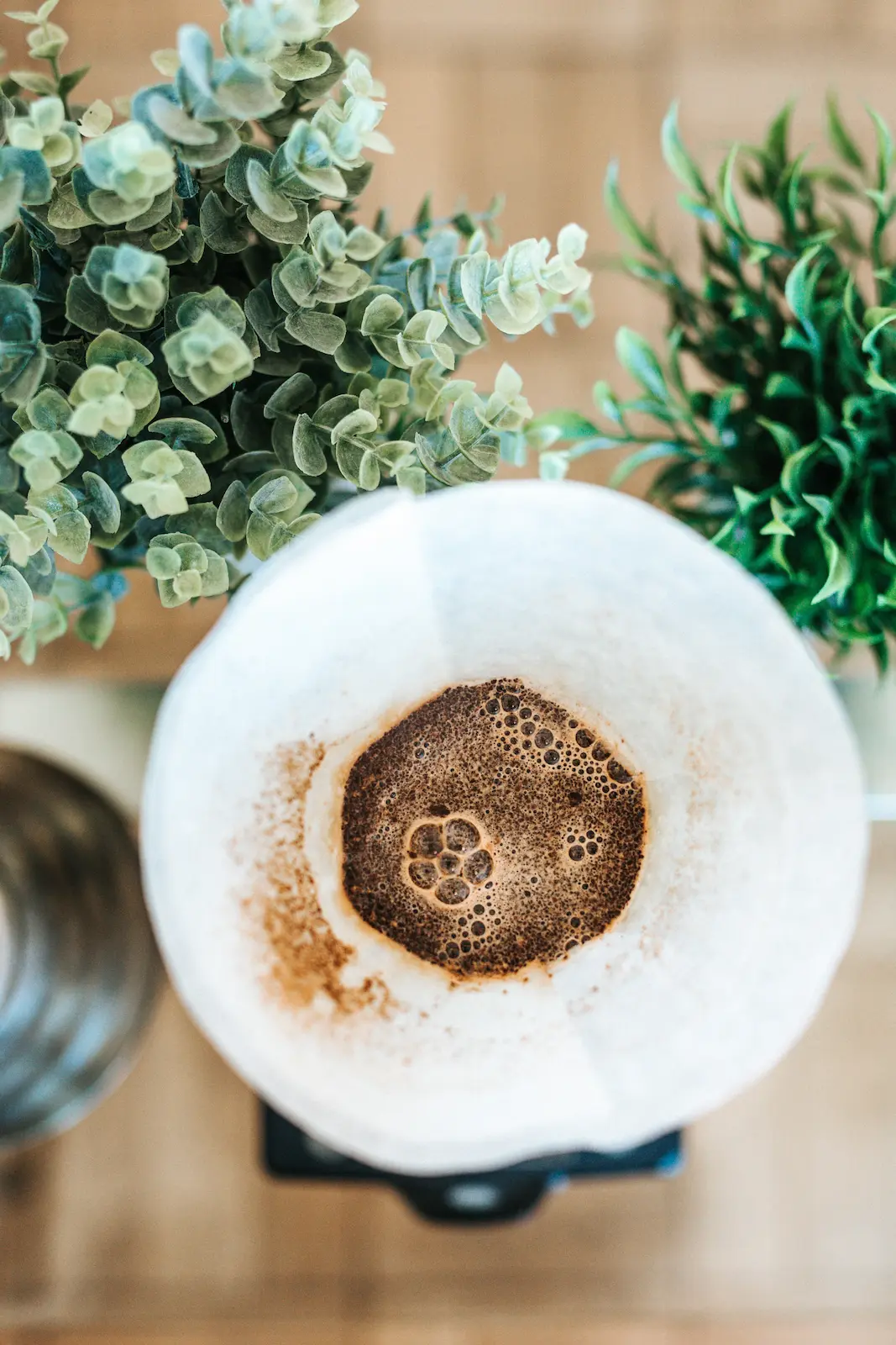 What flowers to water with coffee grounds