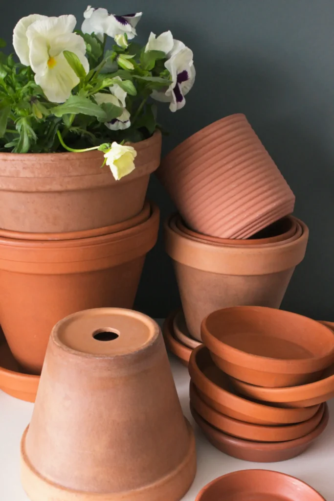 How to Choose the Right Pot for Your Indoor Plants 2 Terracotta Pots With One Drainage Hole