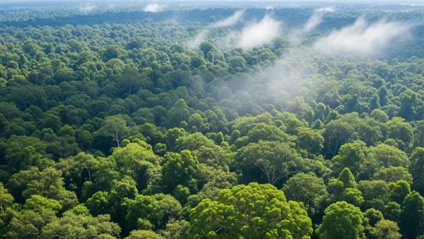 An awe-inspiring, hyper-realistic aerial view of a dense, expansive tropical rainforest canopy in Central Africa. The deep green foliage is so thick it completely blankets the ground below, with visible plumes of moisture, or evapotranspiration, rising into the humid air, creating a natural cooling effect. Sunlight filters through the canopy in a soft, dappled pattern. The image effectively illustrates the powerful year-round carbon absorption and climate cooling capabilities of tropical forests, as detailed in the UC Riverside study on strategic tree planting.