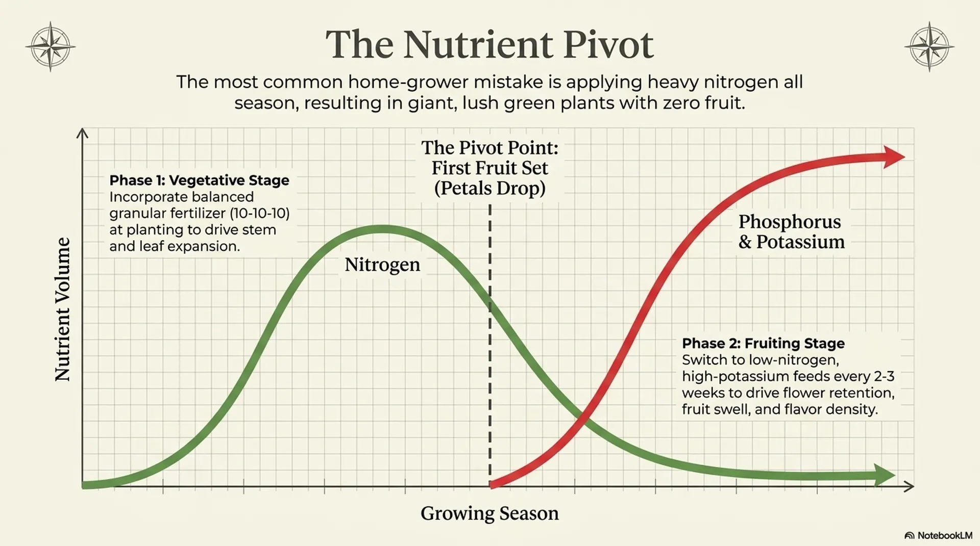 Tomato Plant visual guide — slide 12