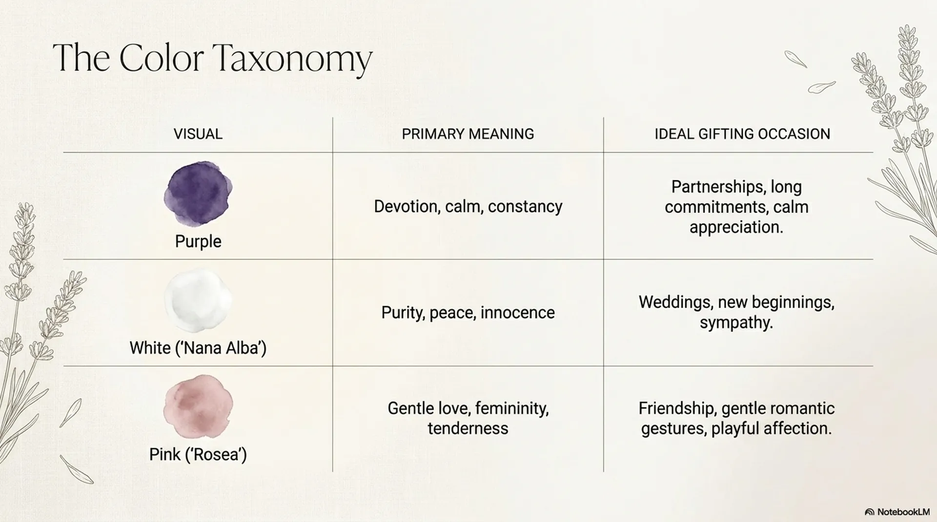 Lavender color taxonomy table comparing purple white Nana Alba and pink Rosea with primary meanings and gifting occasions